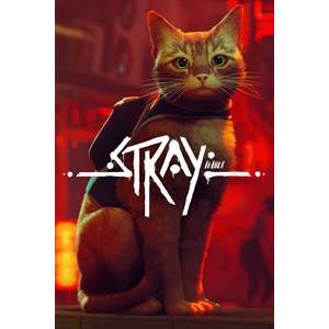 Stray